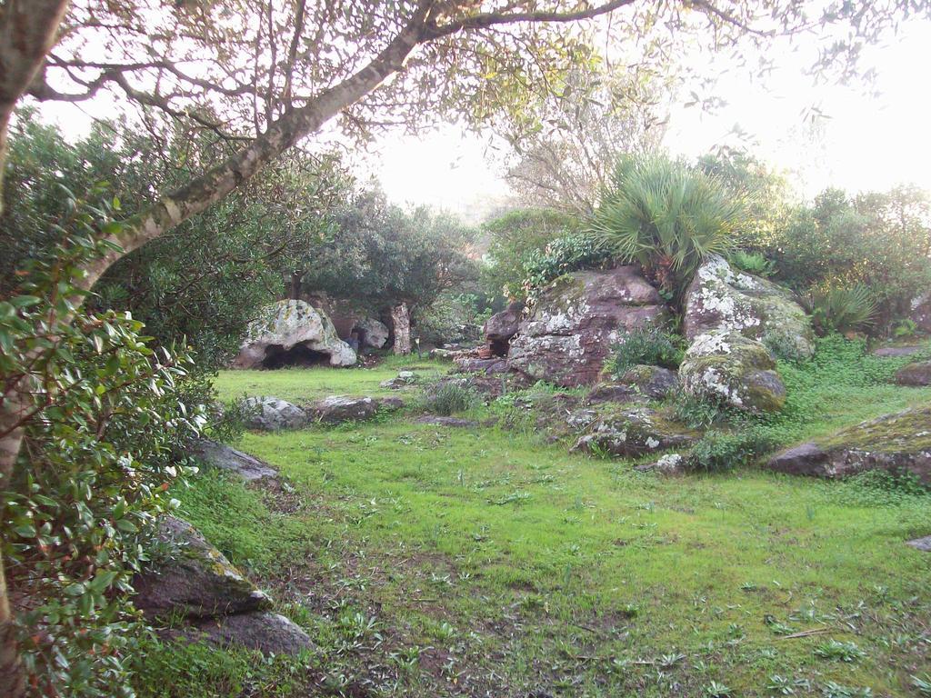 L'Oasi Villa Sant'Antioco Room photo